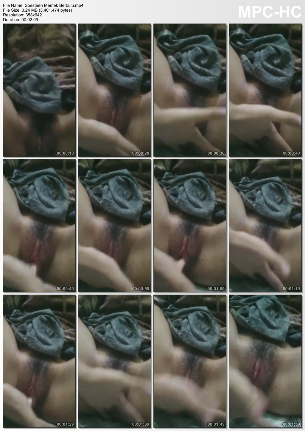 Soesteen Memek Berbulu